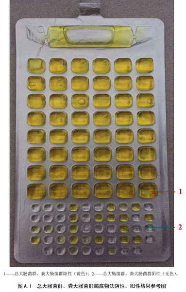 總大腸菌群、糞大腸菌群酶底物法陰性、陽(yáng)性結(jié)果參考圖